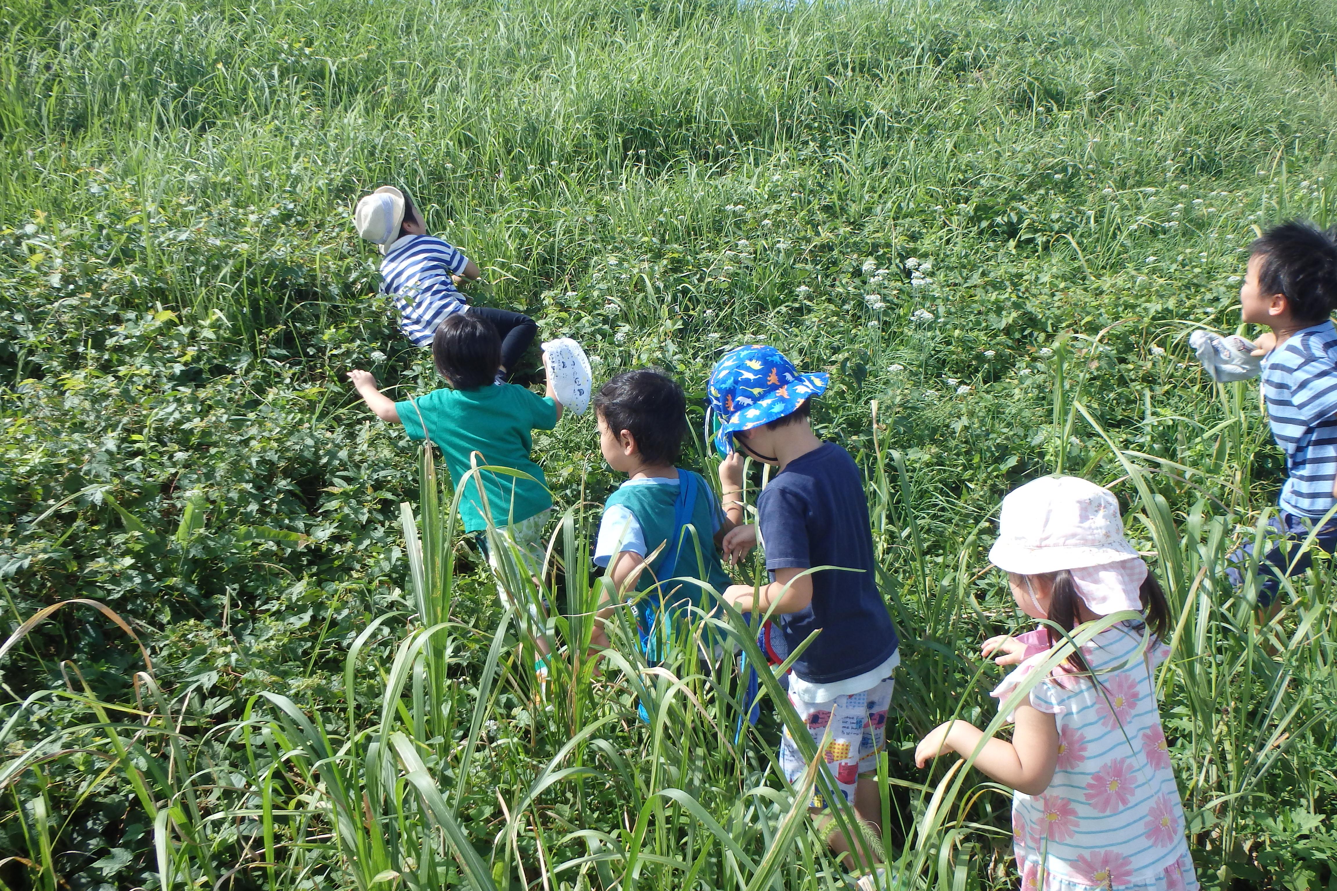 多摩川沿いの自然豊かな環境です